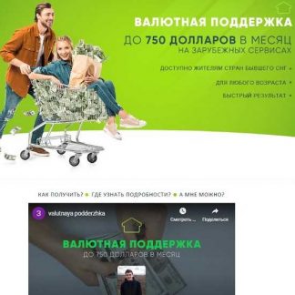 [Александр Ханин] Валютная поддержка (2020)