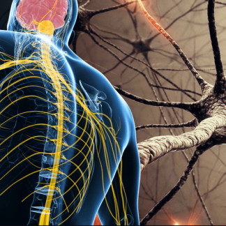 [Алихан Джиоев] "Нервная система: новый уровень" (2020)
