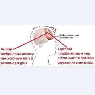 [Андрей Беловешкин] Курс Стресс. Осознанная стрессоустойчивость (2019)