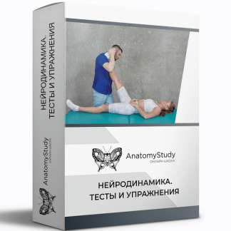 [Андрей Богатырев] Нейродинамика. Тесты и упражнения (2021) [Анатомия]