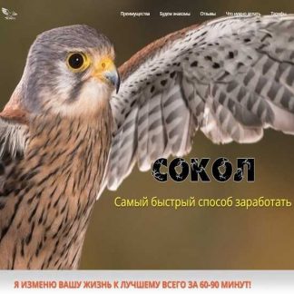 [Андрей Копылов] "Сокол" (тариф "Серебро") (2020)