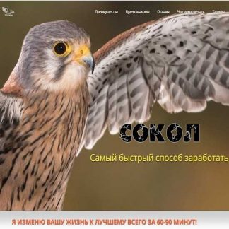 [Андрей Копылов] "Сокол" (тариф "Золото") (2020)