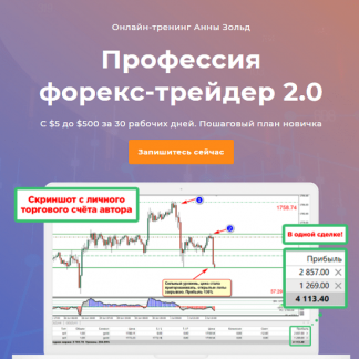 [Анна Зольд] Профессия форекс-трейдер 2.0 (2020)