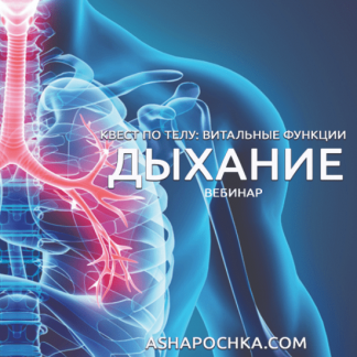 [Антон Шапочка] Квест по телу: витальные функции. Дыхание (2020)