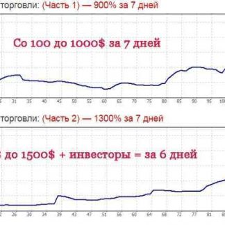 [Бергов] Обучение форекс от трейдера -2 месяца! (запись 2017-2018) скачать