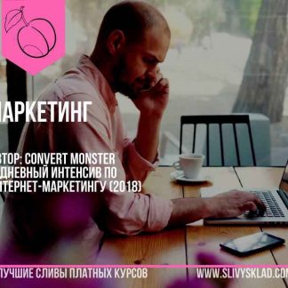 [Convert Monster] 5-дневный интенсив по интернет-маркетингу скачать