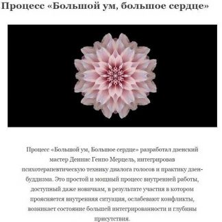 [Дмитрий Баранов] Большой Ум, Большое Сердце (2019)