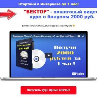 [Дмитрий Чернышов] "ВЕКТОР" - пошаговый видео-курс с бонусом 2000 руб (2019)