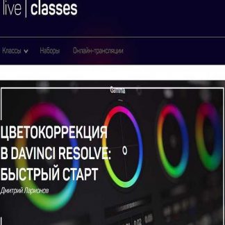 [Дмитрий Ларионов] Монтаж в Davinci Resolve: быстрый старт (2019)