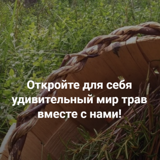 [Елена Корсун] Травы от гипертонии (2021)