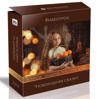 [Елена Лашманова] Новогодняя сказка (2019)