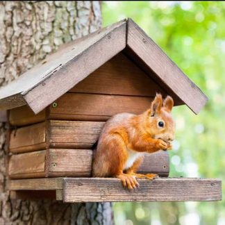 [Елена Веселаго] Баланс: Дом и дело (2020)