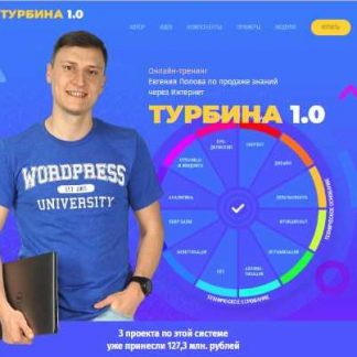 [Евгений Попов] ПРИБЫЛЬНЫЙ БЛОГ на Wordpress по системе «Турбина»