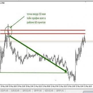 [FX-VG] Торговая система FVG Gann 5.0. Индивидуальное обучение (2018)