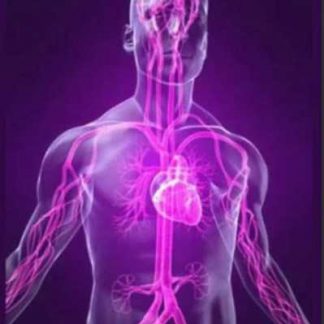 [Игорь Атрощенко] Трудноизлечимые вегетативные боли. Мануальная диагностика и терапия (2019)