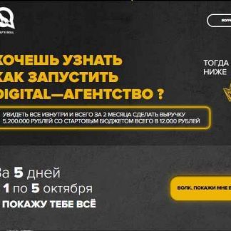 [Илья Волк] Как запустить Digital агентство. Пятидневный марафон (2018) скачать