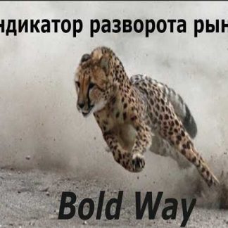 Индикатор Bold Way смены тенденции рынка без привязки