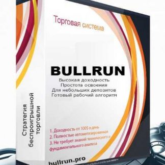 Индикаторный комплекс BULLRUN (2019)