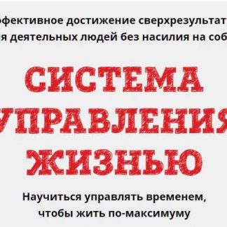 [ЮРИЙ ЧЕРНИКОВ] Система управления жизнью (2019)