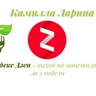 [Камилла Ларина] Яндекс дзен: монетизация канала за 2 недели (2018)