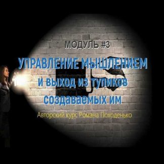 [Kleiton] Управление мышлением и выход из тупиков создаваемых им. Модуль 3 (Роман Походенько)