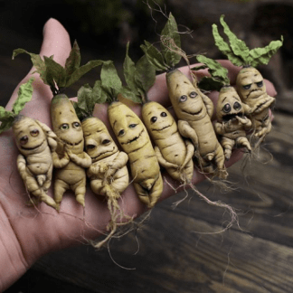 [Лепка] Мастер-класс "Живой корешок" (2021) [manufruktura]