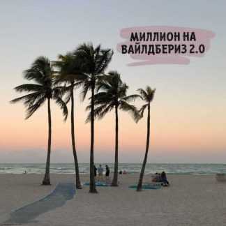 [Майя Драган] Миллион на Wildberries 2.0 (2019)