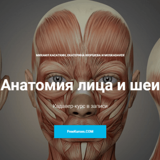 [Михаил Касаткин] Кадавер-курс "Анатомия лица и шеи" (2020)