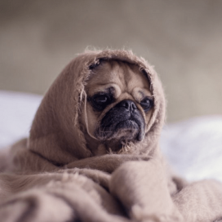 [Михаил Лабковский] «Одиночество: найти причину и избавиться раз и навсегда» (2020)