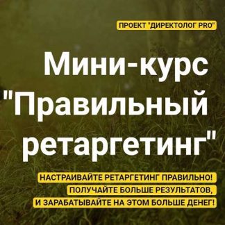 [Михаил Сабанин] Мини-курс "Правильный ретаргетинг" (2020)