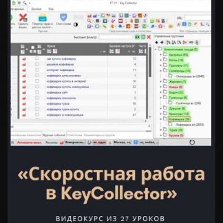 [Михаил Сабянин] Скоростная работа в KeyCollector (2020)