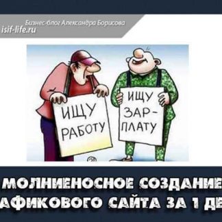 Молниеносное создание трафикового сайта для заработка за 1 день