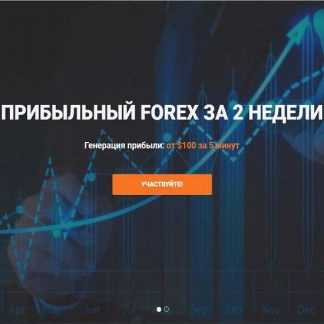 [Николай Еремеев] Прибыльный FOREX за 2 недели (2019)
