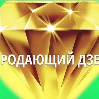 [Рамиль Сагатдинов] Продающий Дзен (2019)
