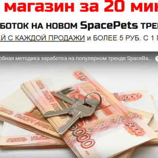 Сверхприбыльная методика заработка на SPACE PETS скачать