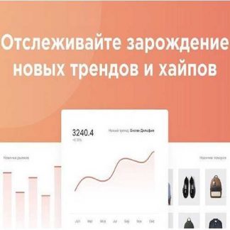 [Signum] Зарождающиеся тренды и хайпы (октябрь 2019)