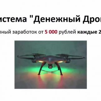 Система Денежный Дрон