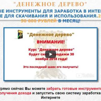 Тренинг "Денежное дерево" (Дмитрий Чернышов)