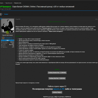 [Trugiat] Серо-Белая СХЕМА | Online | Пассивный доход | x20 от любых вложений