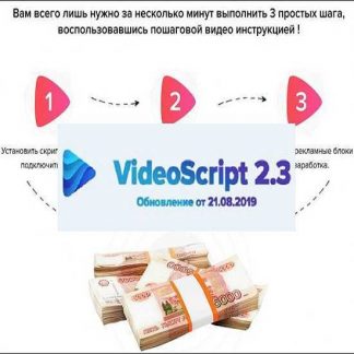 [VideoScript 2.3] Зарабатывайте в интернете на создании видео сайтов. Версия 2.3 (2019)
