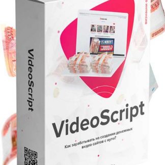 VideoScript - заработок в интернете на создании денежных видео сайтов с нуля (2019)