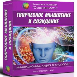 [ZvukoM] Творческое мышление и созидание (2019)