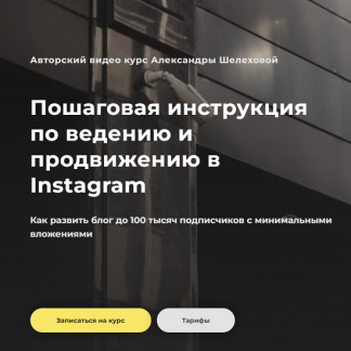 [Александра Шелехова] Пошаговая инструкция по ведению и продвижению в Instagram (2022)