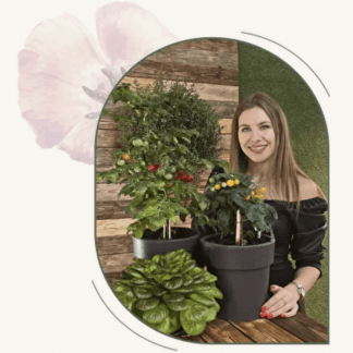 [Анна Акинина] Рассада без досады. Овощная рассада (2022)