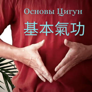 [Дамо Митчелл] Основы Цигун (2022)