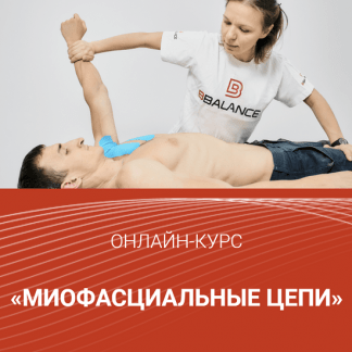 [Bbalance][Евгения Чижикова] Миофасциальные цепи (2022) Тариф Полный комплект