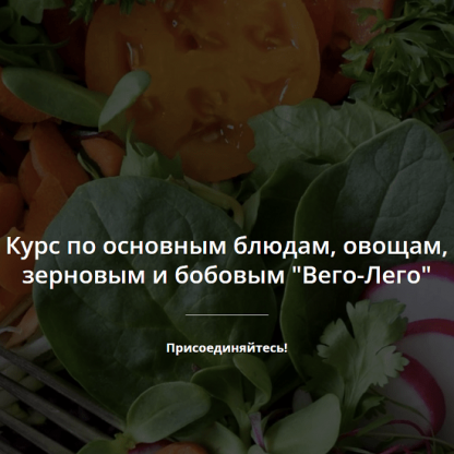 [Яна-Вегана][Яна Сидакова] Курс "Вего-Лего" (2022)