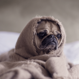 [Михаил Лабковский] Амбиции, прокрастинация, лень: как раскрыть свой потенциал? (2022)