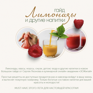 [Сергей Леонов] Лимонады и другие напитки (2022) [leonov_chef]