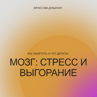 [Вячеслав Дубынин] Мозг: стресс и выгорание. Как заметить и что делать? (2022)